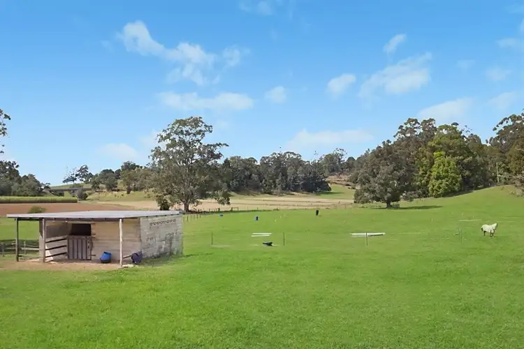 Third view of Homely rural property listing, 5824 Tweed Valley Way, Mooball NSW 2483