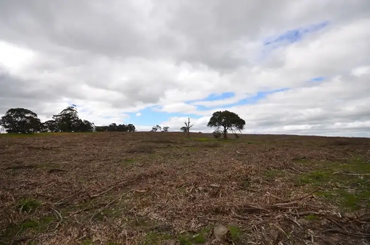 Fifth view of Homely rural property listing, "Briody T2" 41A Jones Road, Lexton VIC 3352