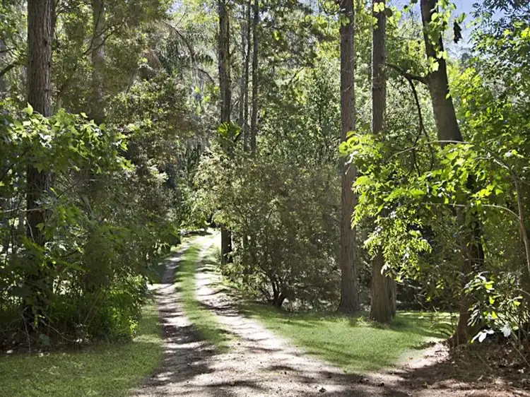 1280 Tyalgum Road, Tyalgum NSW 2484