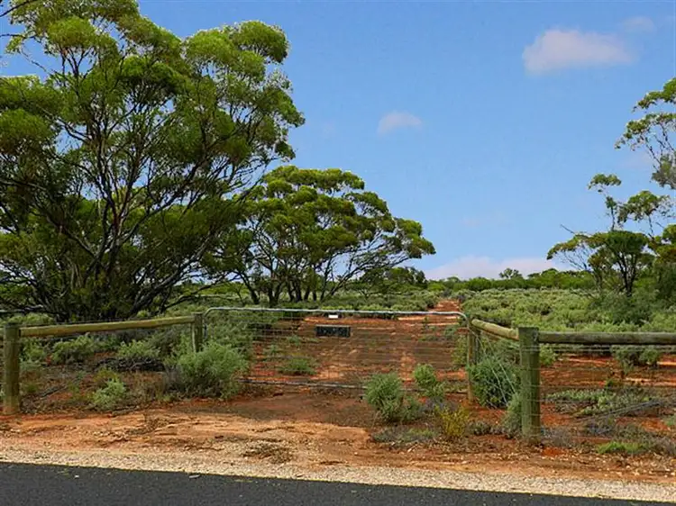 Main view of Homely rural property listing, 51 Spendiff Road, Winkie SA 5343