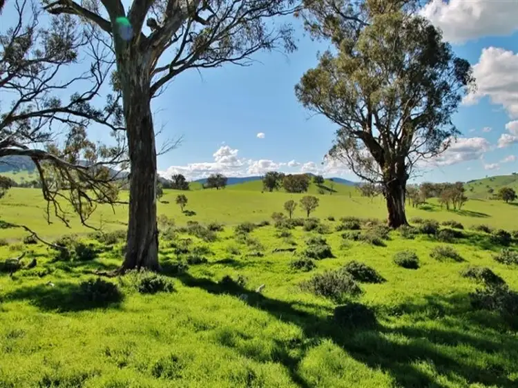 Sixth view of Homely land listing, 132 Dowling Drive Murringo, via, Young NSW 2594