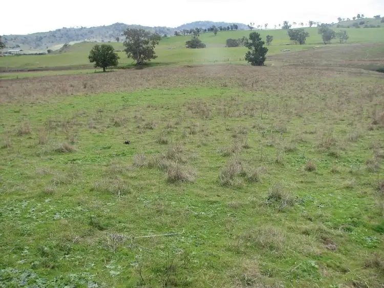 Fourth view of Homely rural property listing, 120 Springvale Road, Wyangala NSW 2808