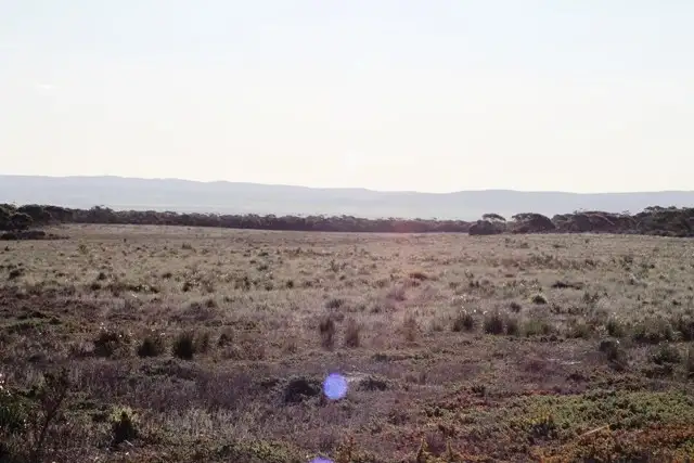 Third view of Homely rural property listing, 253 Hundred of Playford, Cowell SA 5602