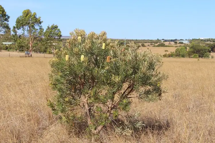 Lot 235 Zendora Road, Jurien Bay WA 6516