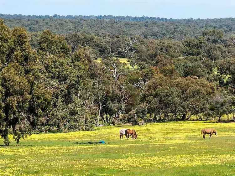 Sixth view of Homely house listing, 80 Teatree Road, Bindoon WA 6502