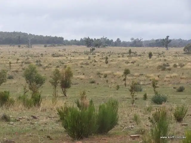 Fourth view of Homely rural property listing, " KAMALA", Coonabarabran NSW 2357