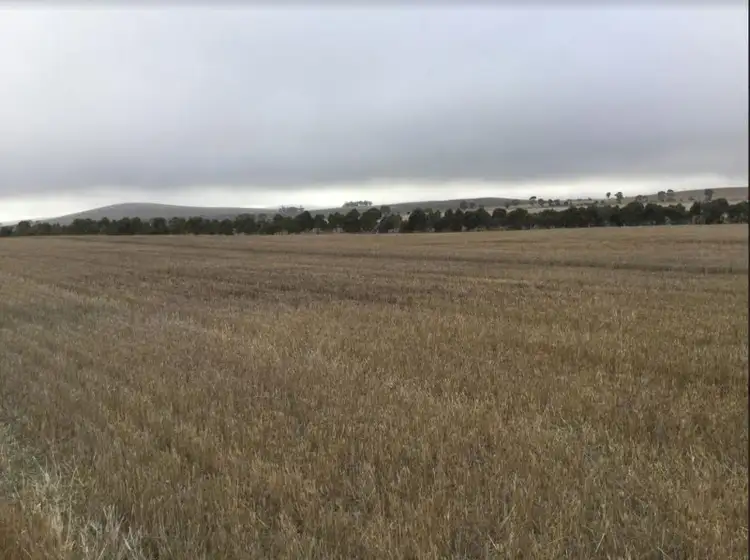 Second view of Homely rural property listing, 2 Lots, Manilla and Iron Mind Road, Hanson SA 5417