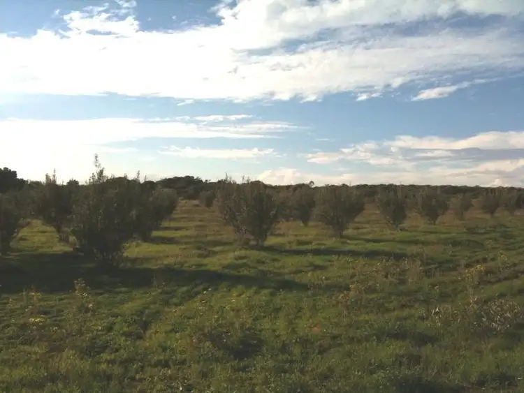 Sixth view of Homely land listing, L2297 Henry Road, Greenough WA 6532