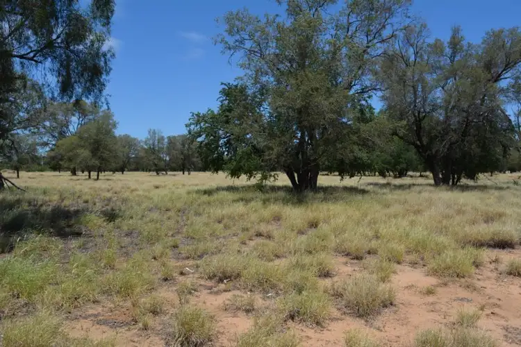 Second view of Homely rural property listing, 276 Glencoe Road, Blackall QLD 4472