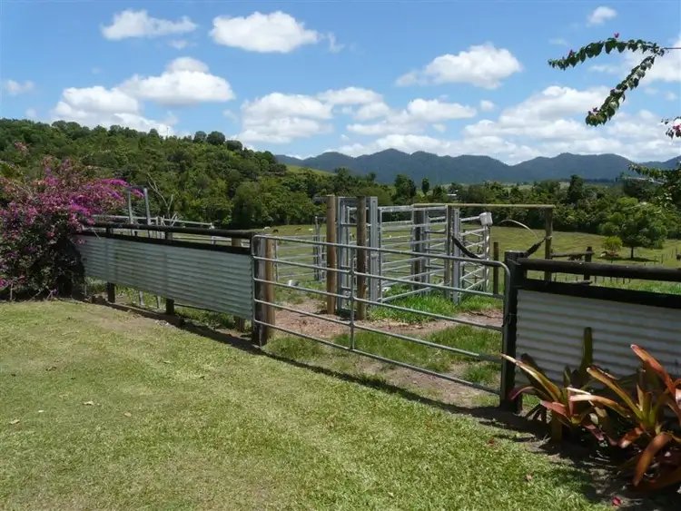 Third view of Homely rural property listing, 395 Mena Creek Road, Mena Creek QLD 4871