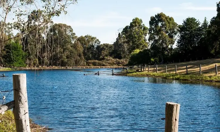 Main view of Homely rural property listing, Lot 4036 Vasse Highway, Nannup WA 6275