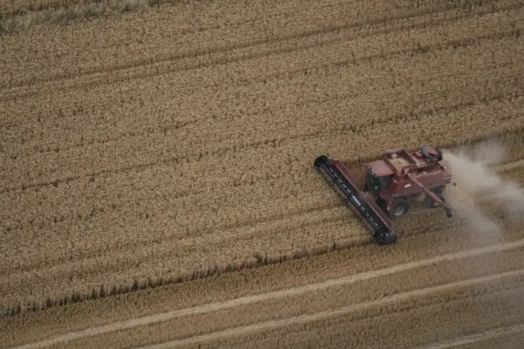 Address available on request