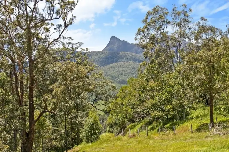 Fifth view of Homely rural property listing, 3 Charbray Place, Tyalgum NSW 2484