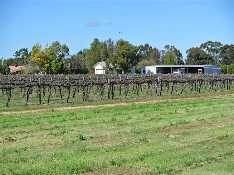Farm 1438 Kearey Road, Bilbul NSW 2680