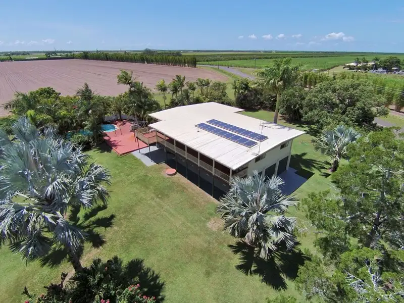 Main view of Homely house listing, 738 Clayton Road, Alloway QLD 4670
