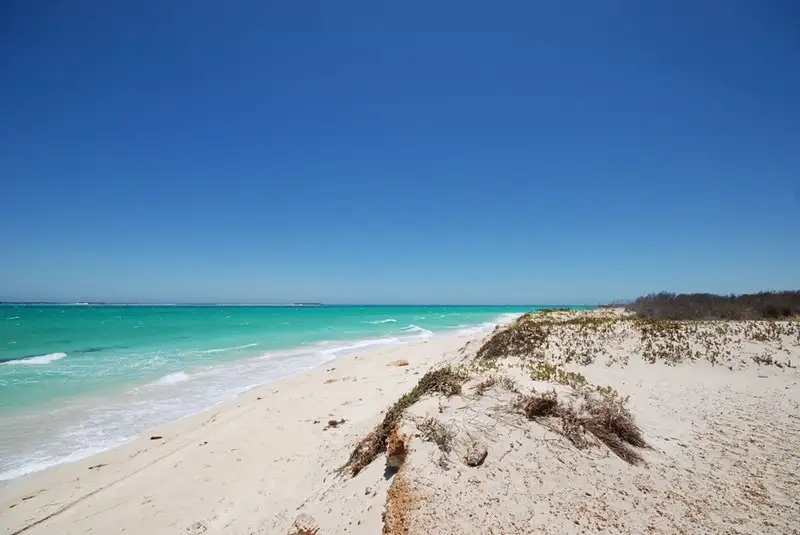 Main view of Homely land listing, Lot 825, 11 Bells Boulevard, Jurien Bay WA 6516