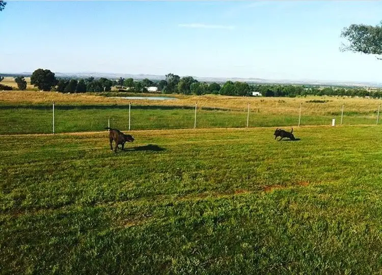 Third view of Homely rural property listing, Address available on request