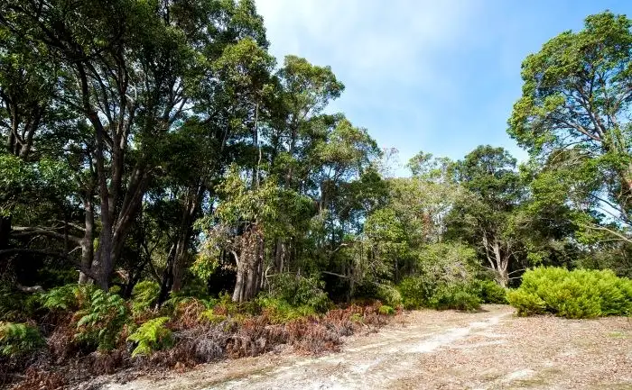 Main view of Homely land listing, Lot 15 Cockatoo Drive, Nannup WA 6275