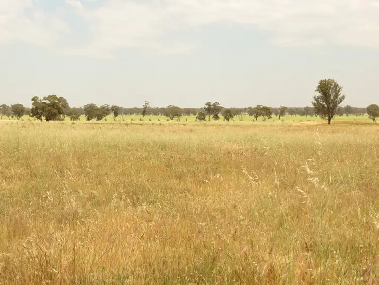 Fifth view of Homely rural property listing, "Hillview" Goldfields Way, Temora NSW 2666