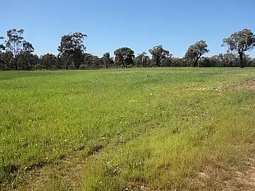 Main view of Homely rural property listing, Address available on request