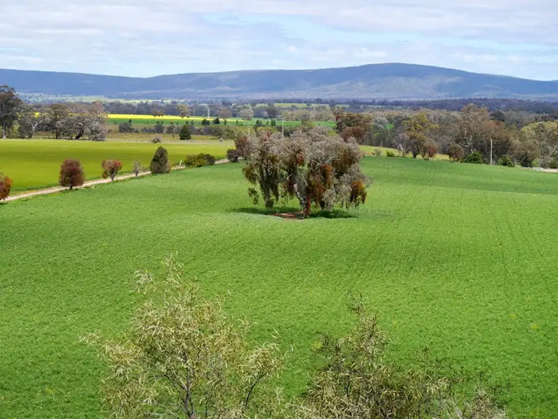 Main view of Homely rural property listing, 1628 Lachlan Valley Way, Cowra NSW 2794