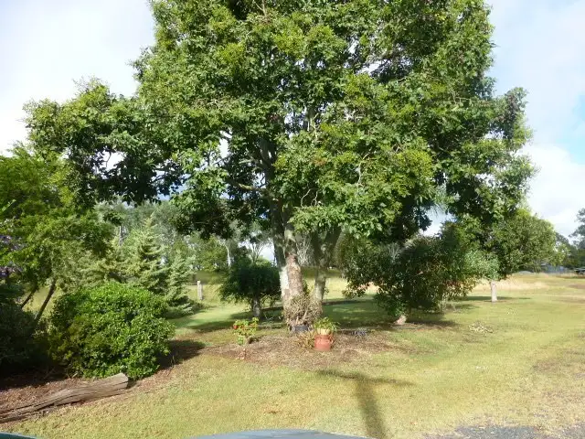 Sixth view of Homely rural property listing, 158 Armitage Rd, Crosshill, Oakey QLD 4401