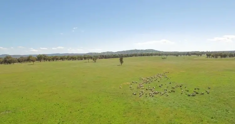 Third view of Homely rural property listing, Roseneath 2004 Rangers Valley Road, Glen Innes NSW 2370