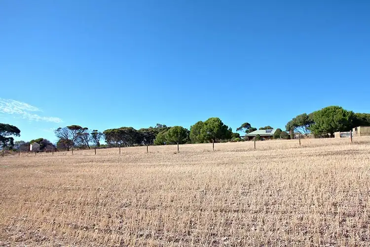 Main view of Homely rural property listing, 101 Tuit Road, Maslin Beach SA 5170