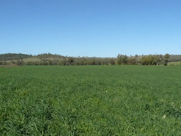 Second view of Homely rural property listing, Address available on request