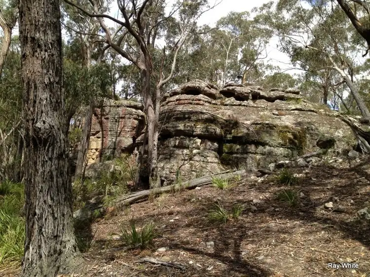 Third view of Homely rural property listing, 6045 Nerriga Road, Nerriga NSW 2622