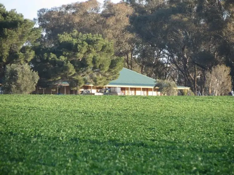 Seventh view of Homely rural property listing, 599 Trigalong Road, Temora NSW 2666