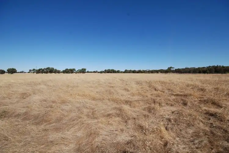 Third view of Homely land listing, Lot 2 Bullock Hills Road, Wagin WA 6315