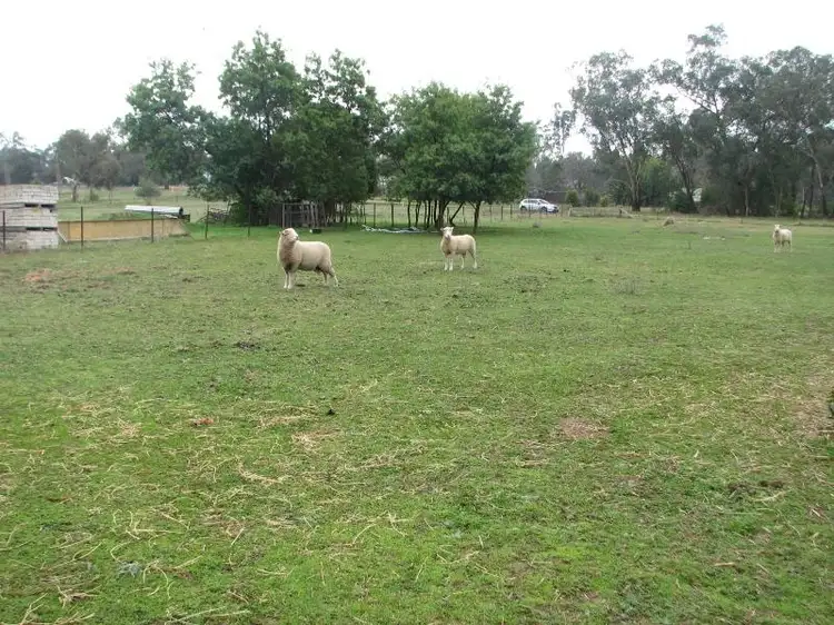 Fifth view of Homely rural property listing, 26 Lachlan Street, Koorawatha NSW 2807