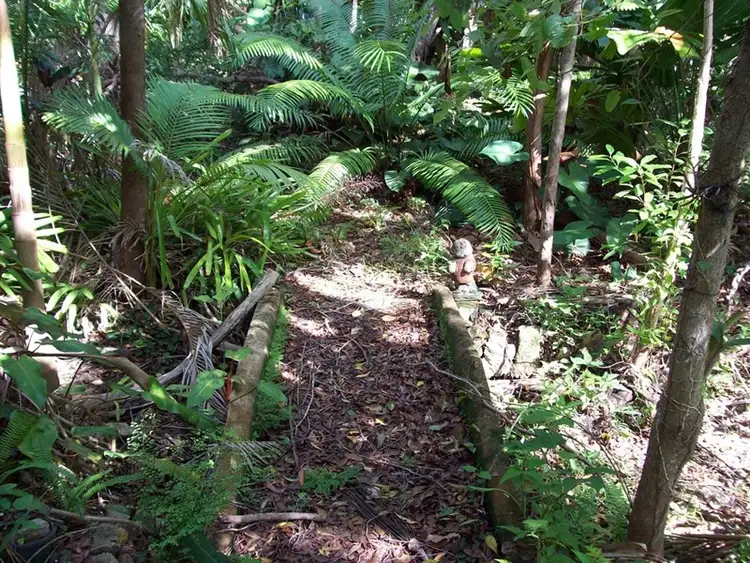 Sixth view of Homely house listing, 287 Saltwater Creek Road, Conway QLD 4800