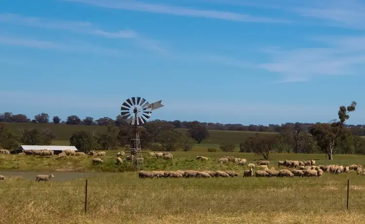 Second view of Homely rural property listing, 875 Yawong Road, St Arnaud VIC 3478