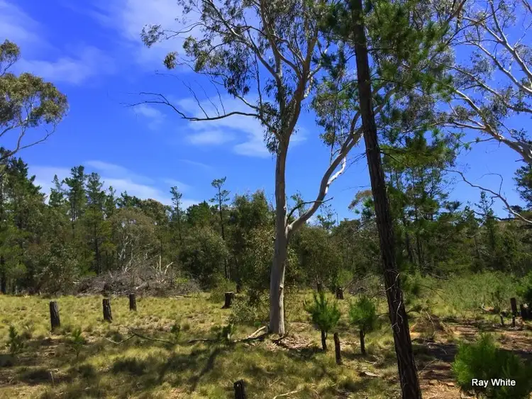 Fifth view of Homely rural property listing, 160 Nerriga Road, Braidwood NSW 2622