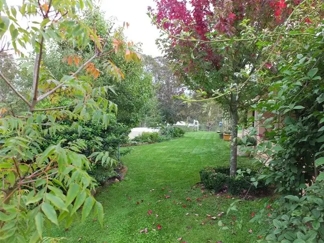 Seventh view of Homely house listing, 230 Gingkin Road, Oberon NSW 2787