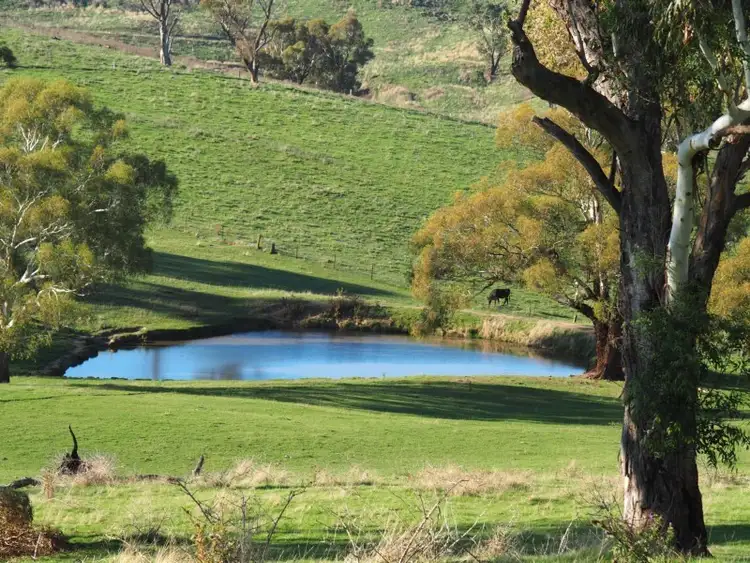 Second view of Homely rural property listing, Address available on request