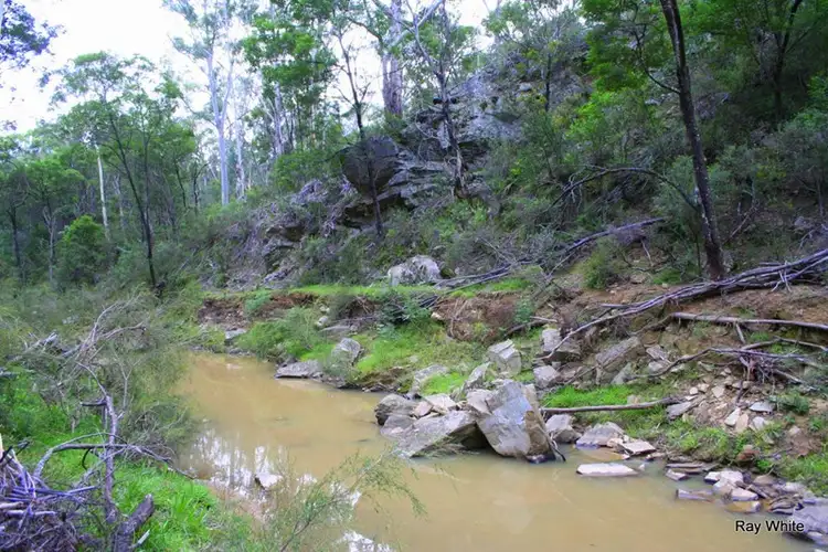 Fourth view of Homely rural property listing, 19 Tomboye Road, Braidwood NSW 2622