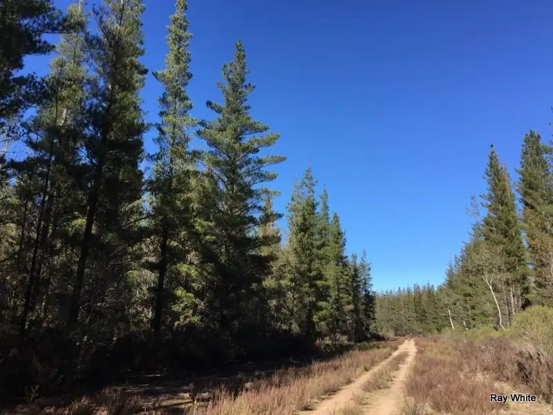 Main view of Homely rural property listing, 8 Tally Ho Road, Bombay NSW 2622