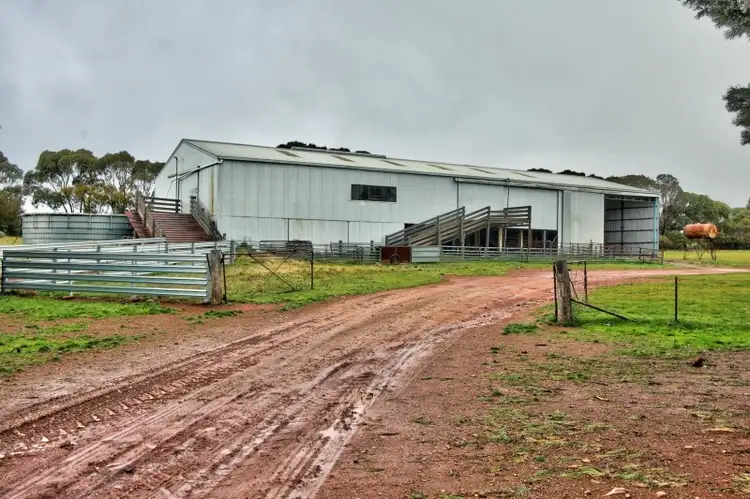 Third view of Homely rural property listing, "Newikie" Old Belcunda Road, Mount Bryan SA 5418
