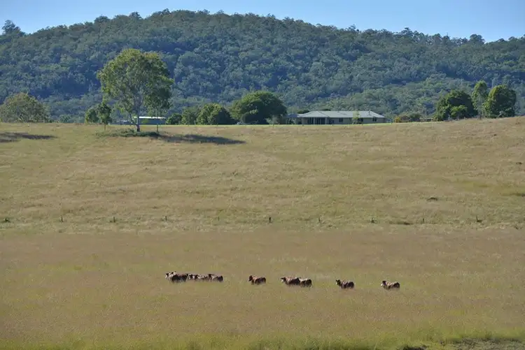 Seventh view of Homely rural property listing, 1746 Boonah-Rathdowney Road, Boonah QLD 4310