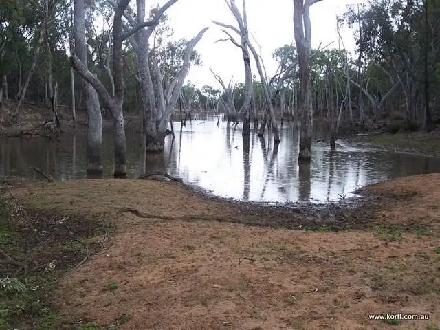 Second view of Homely rural property listing, " KAMALA", Coonabarabran NSW 2357