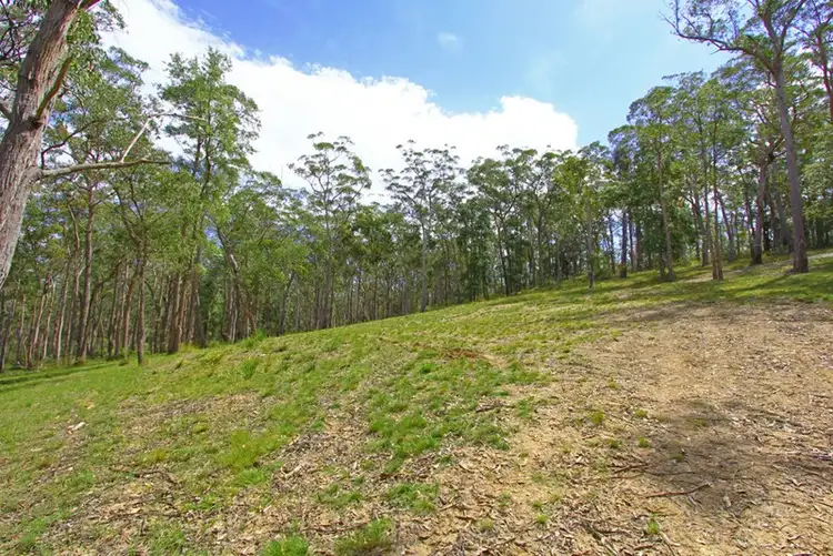 Lot 1/120 Dooralong Ridge Drive, Dooralong NSW 2259