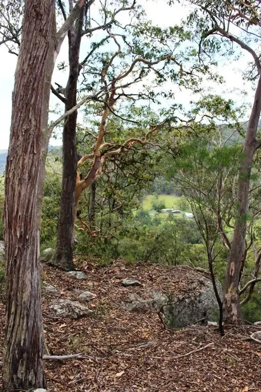 Second view of Homely rural property listing, 1969 Wollombi Road, Sweetmans Creek NSW 2325
