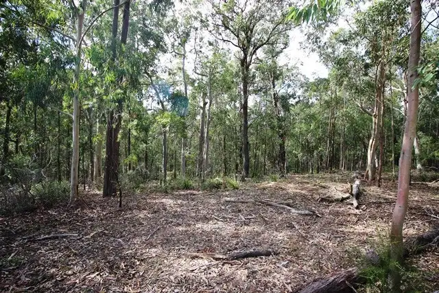 Fifth view of Homely rural property listing, 680 Brokenback Trail, Cedar Creek NSW 2325