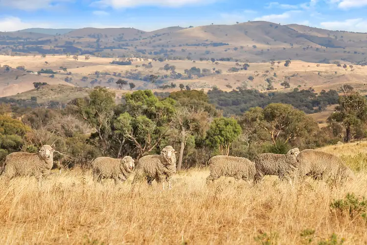 Fifth view of Homely land listing, Lot 2, 51 Brooklands Road, Wallaroo NSW 2618