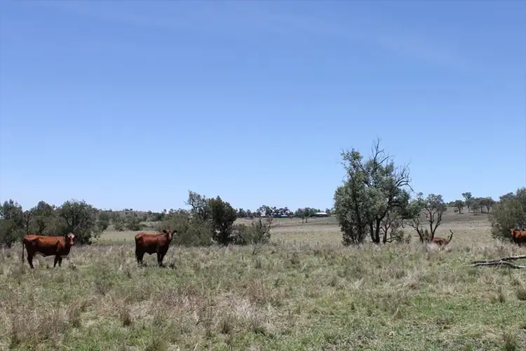 Second view of Homely rural property listing, Address available on request