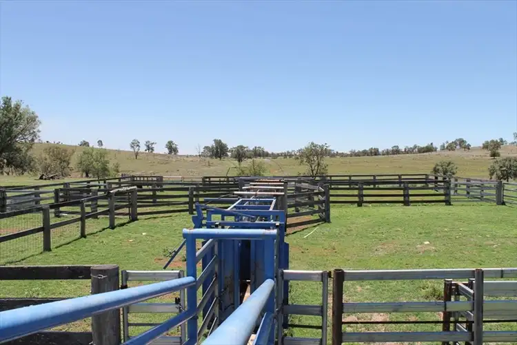 Fourth view of Homely rural property listing, Address available on request