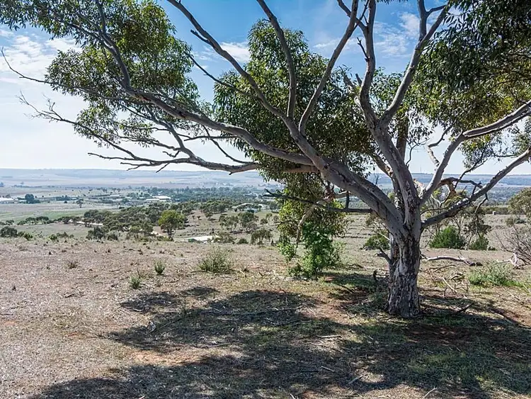Fifth view of Homely rural property listing, 56 Hollamby Road, Callington SA 5254